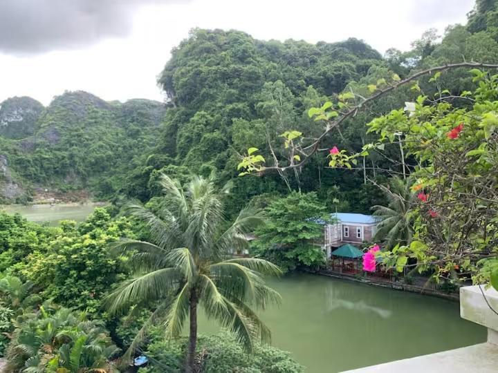 Catba Backpackers Hostel & Pool Bar Chan Chau الغرفة الصورة